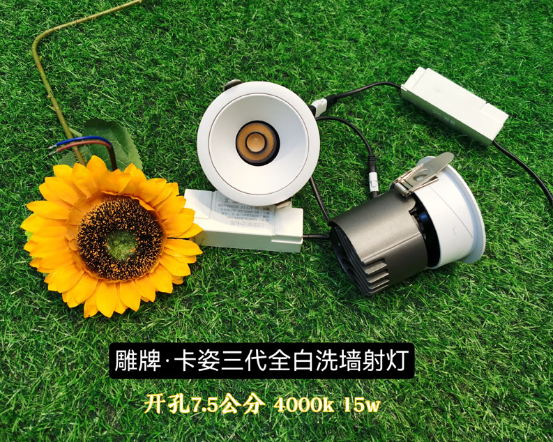 雕牌·卡姿三代全白洗墻射燈