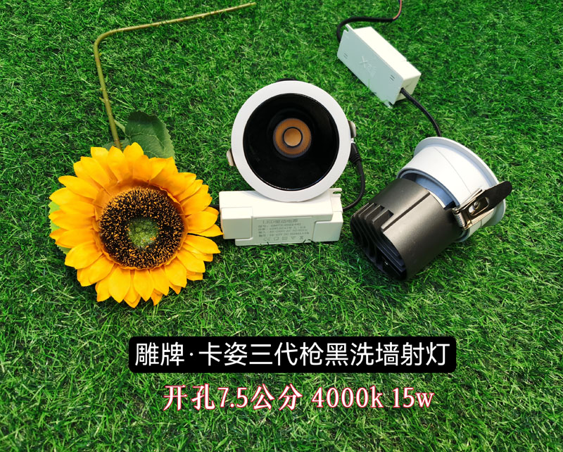 雕牌·卡姿三代槍黑洗墻射燈