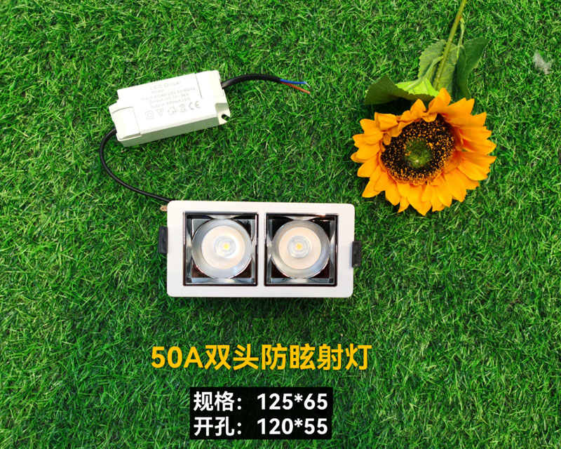 50A雙頭防眩射燈