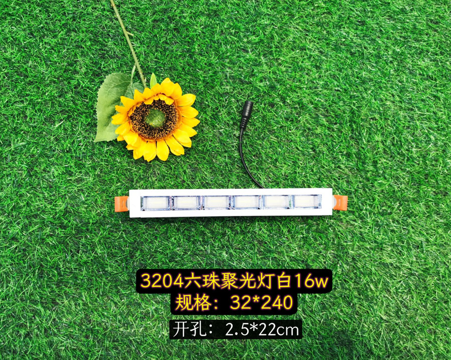 3208六珠聚光燈白16w