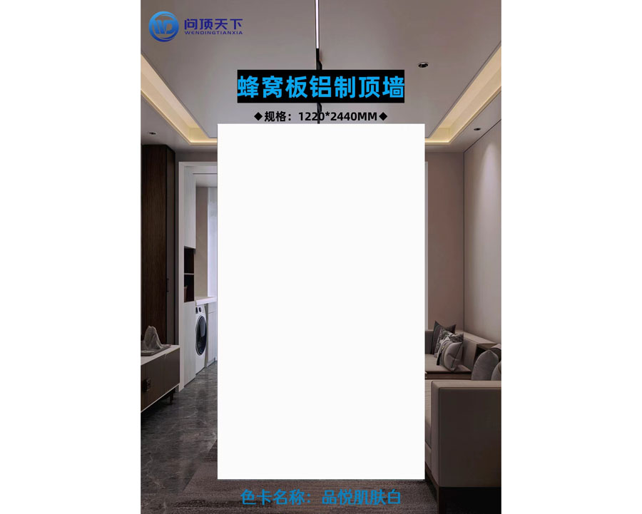 色卡名稱：品悅肌膚白